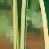  Panorama Bambu, Oil on linen, 65x196cm(2008)